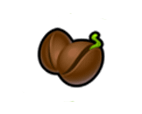 Coffee Bean